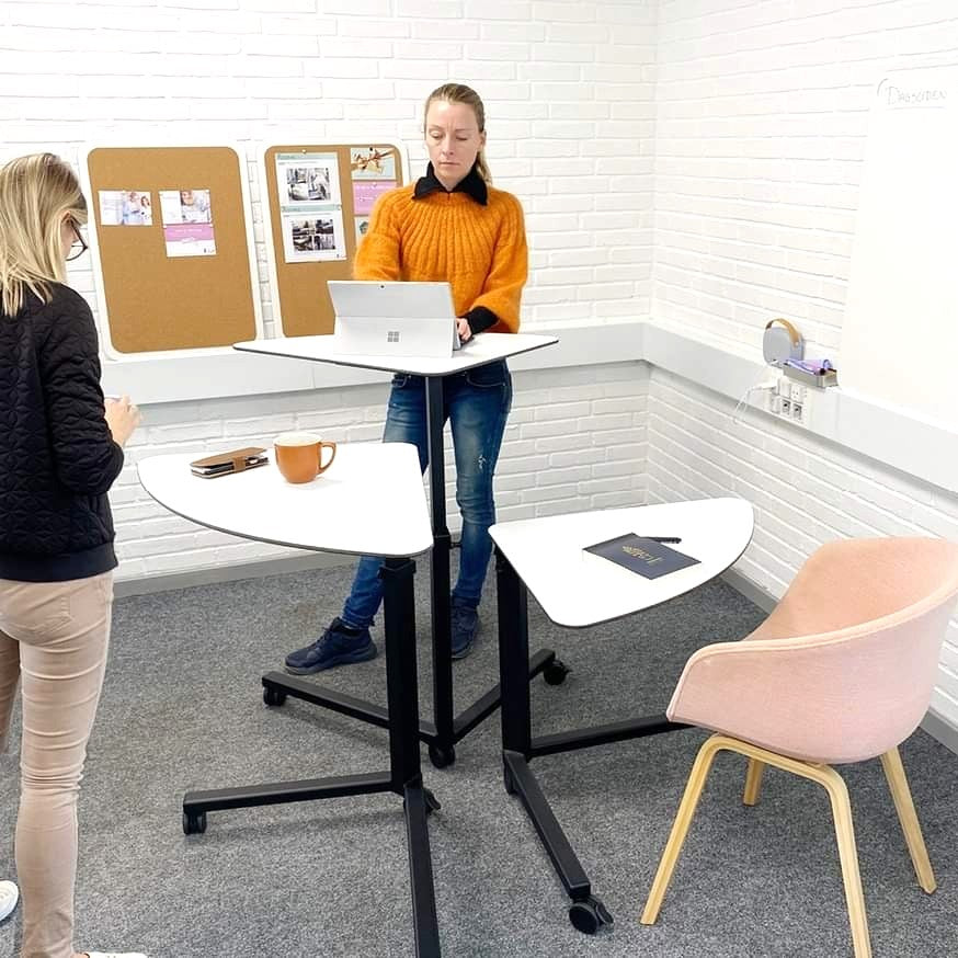 Roomie, multibord til dokumentation